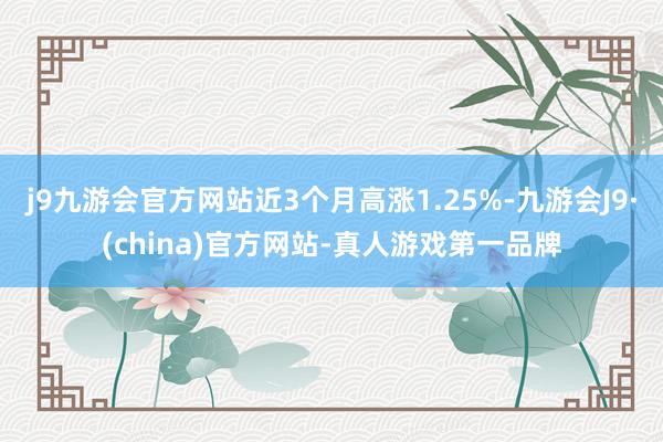 j9九游会官方网站近3个月高涨1.25%-九游会J9·(china)官方网站-真人游戏第一品牌