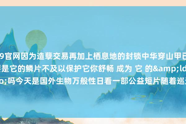 J9官网因为造孽交易再加上栖息地的封锁中华穿山甲已处于极度濒危状况要是它的鳞片不及以保护它你舒畅 成为 它 的&ldquo;铠甲&rdquo;吗今天是国外生物万般性日看一部公益短片随着巡逻官一说念督察中华穿山甲    -九游会J9·(china)官方网站-真人游戏第一品牌