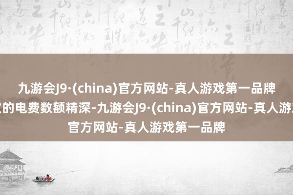 九游会J9·(china)官方网站-真人游戏第一品牌然则勇猛欠的电费数额精深-九游会J9·(china)官方网站-真人游戏第一品牌