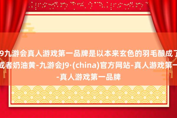 j9九游会真人游戏第一品牌是以本来玄色的羽毛酿成了黄色或者奶油黄-九游会J9·(china)官方网站-真人游戏第一品牌